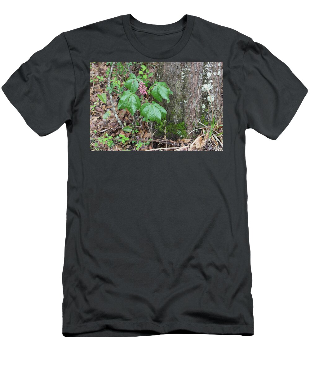 Ronnie Maum T-Shirt featuring the photograph Red Buckeye by Ronnie Maum