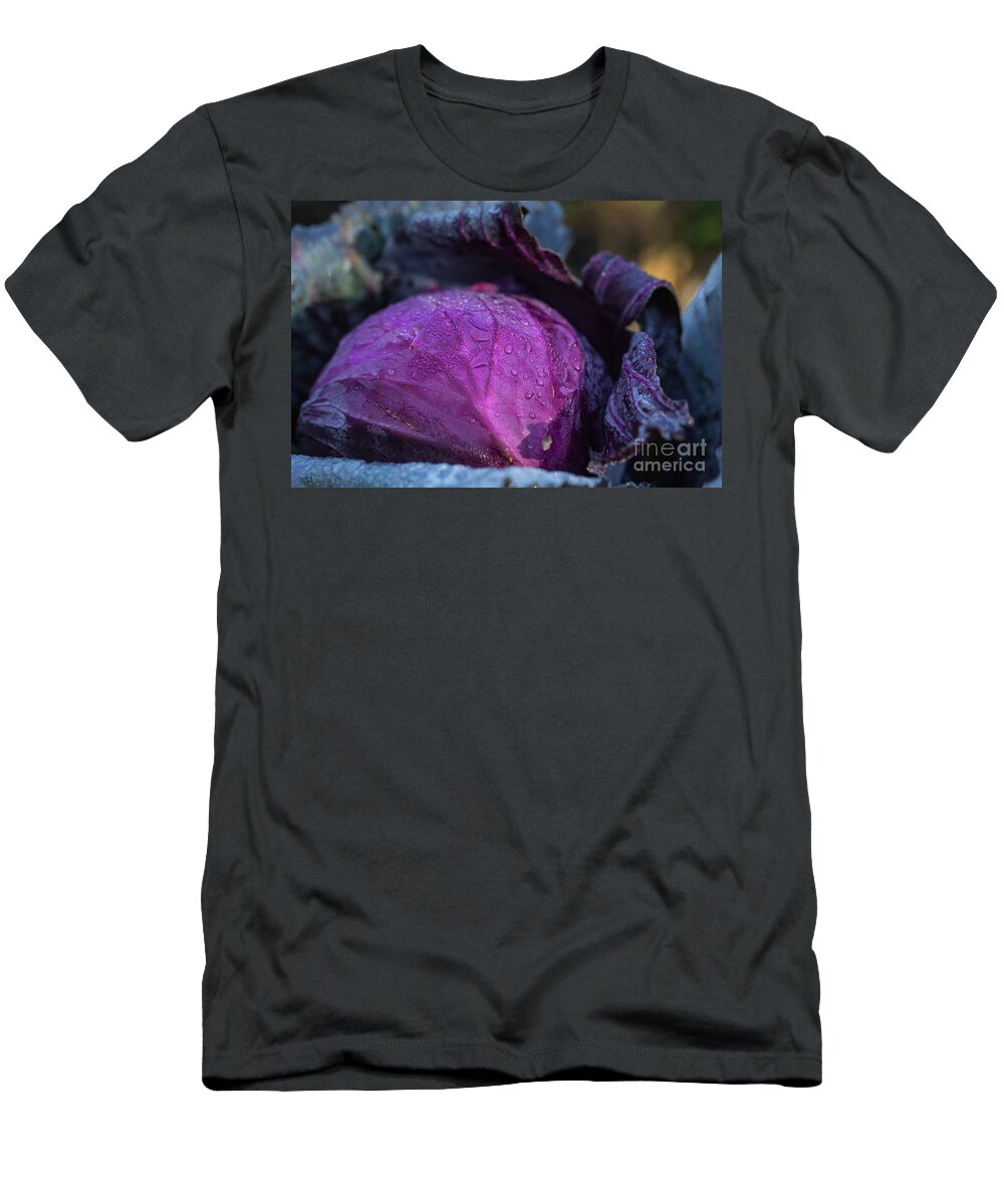 Red Cabbage T-Shirt featuring the photograph Red Cabbage by Eva Lechner