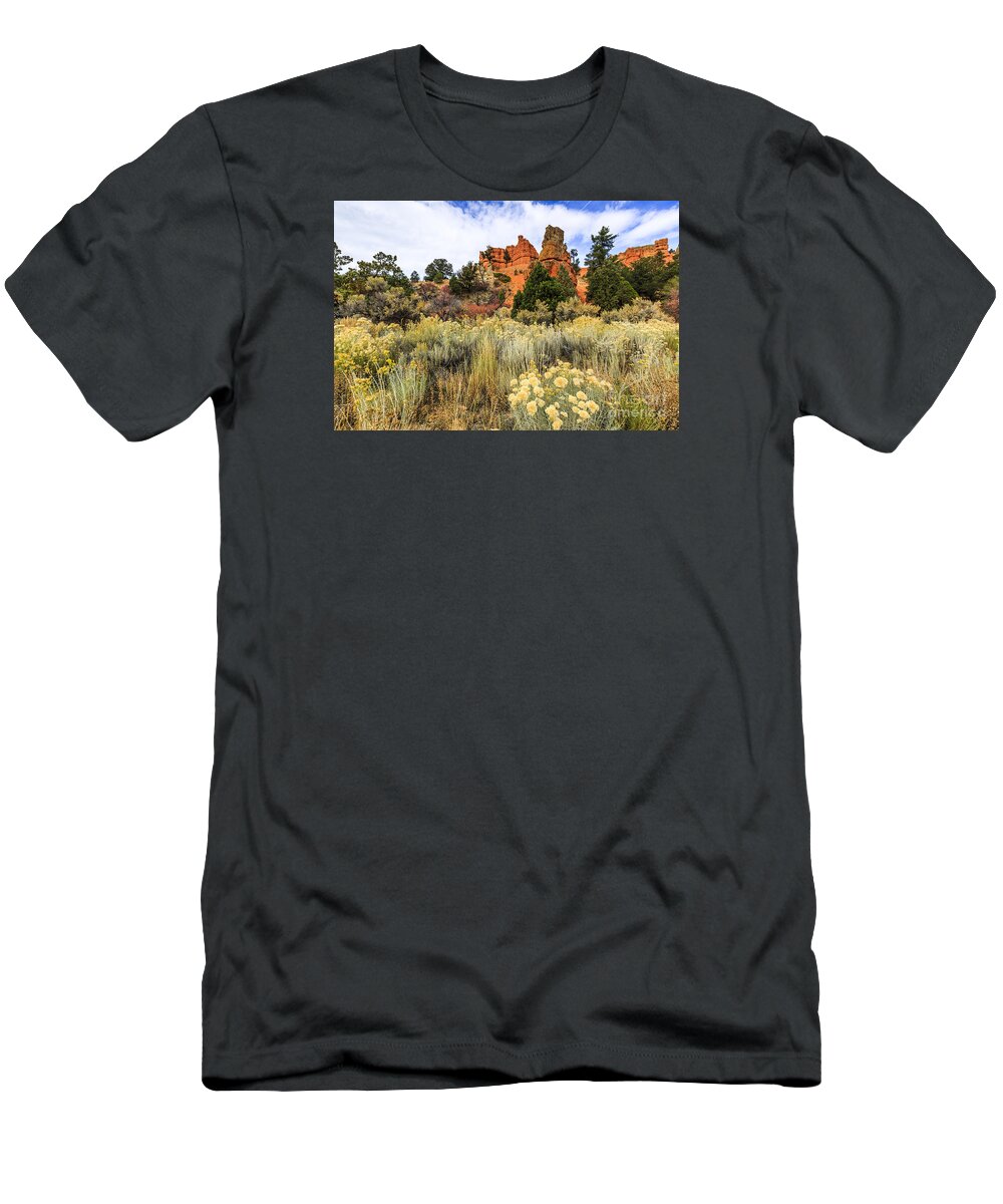 Red Canyon T-Shirt featuring the photograph Red Canyon Area Utah by Ben Graham