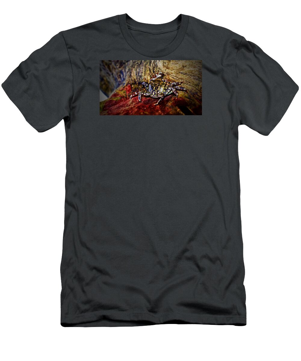 Adria Trail T-Shirt featuring the photograph Red Carpet Crab by Adria Trail