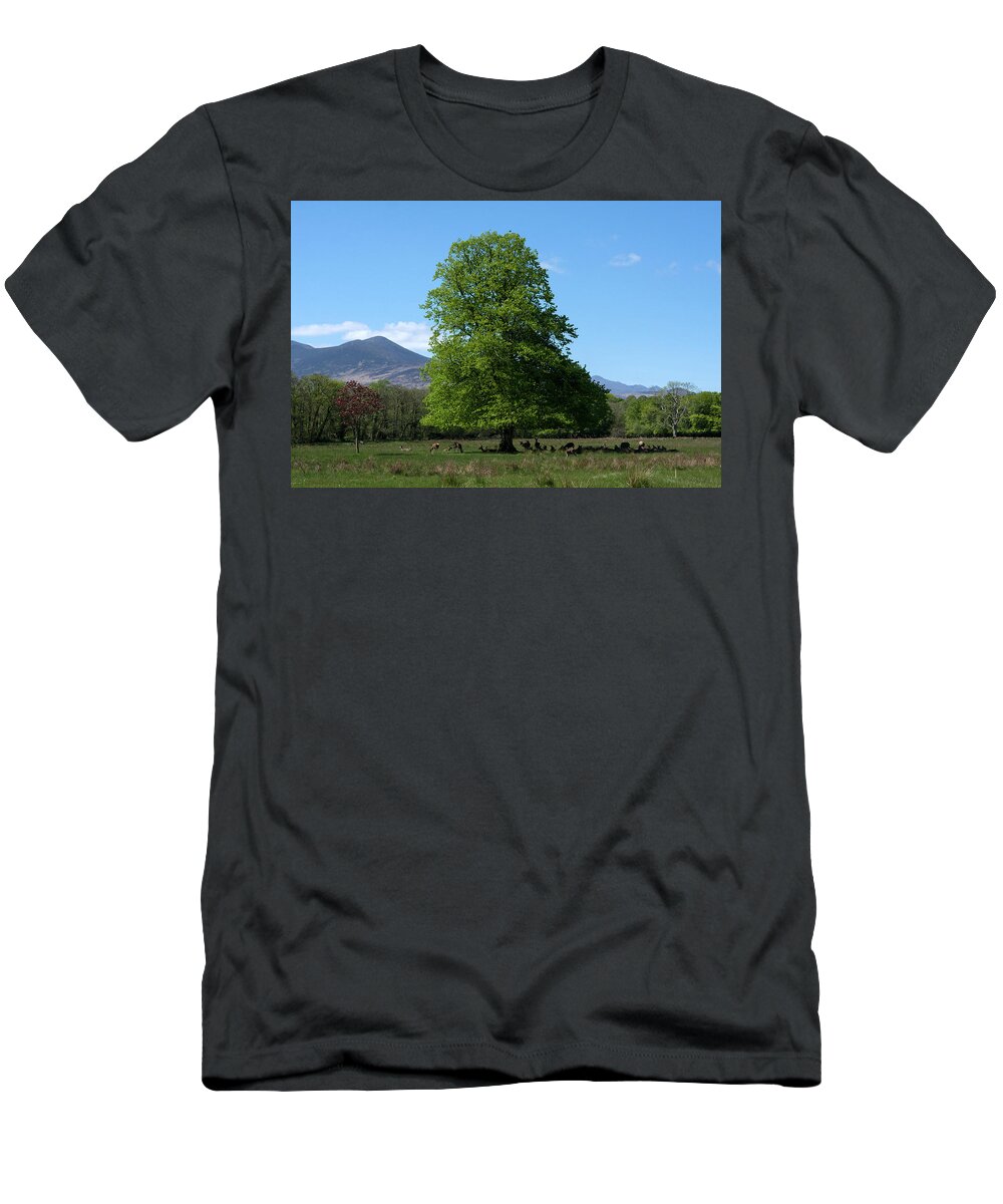 Eire T-Shirt featuring the photograph Red Deer At Killarney National Park by Aidan Moran