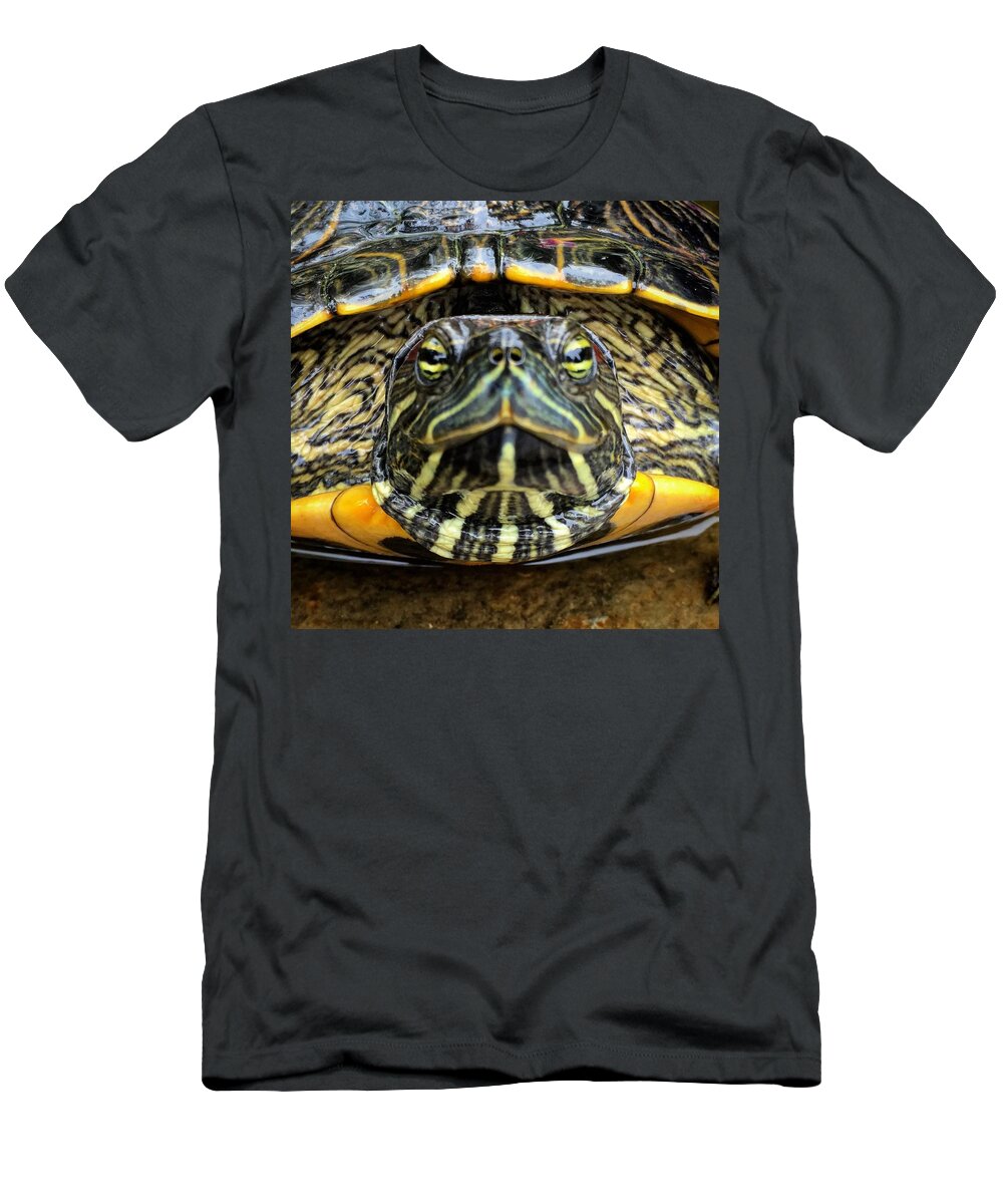 Turtle T-Shirt featuring the photograph Red Eared Slider by Eric Suchman