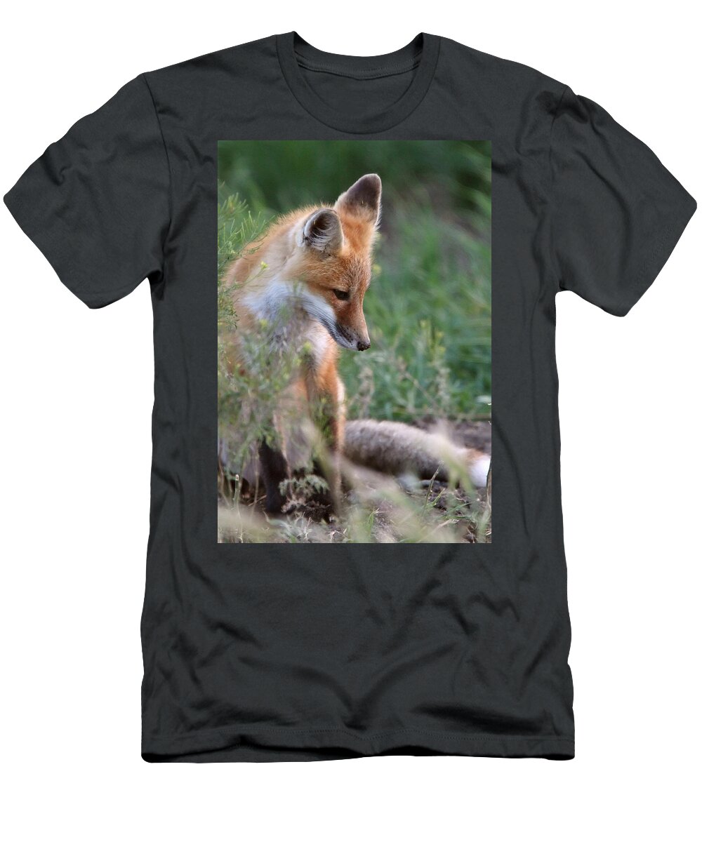 Red Fox T-Shirt featuring the digital art Red Fox pup outside its den by Mark Duffy