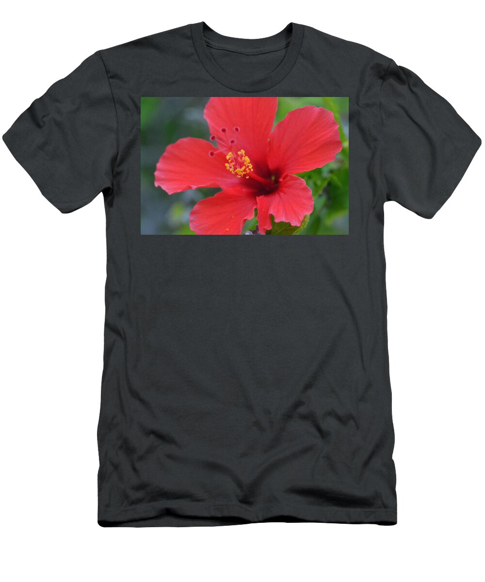 Flower T-Shirt featuring the photograph Red Hibiscus 2 by Amy Fose