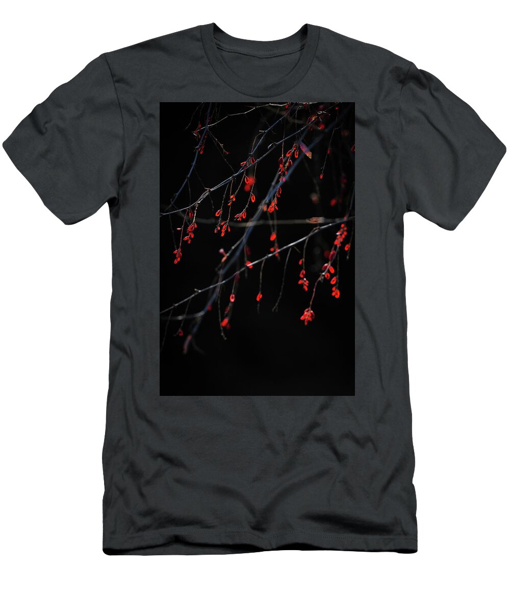 Leaves T-Shirt featuring the photograph Red In Winter by Catherine Lau