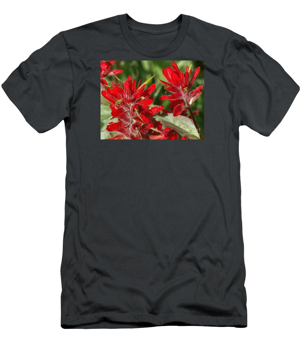Red T-Shirt featuring the photograph Red Indian Paint Brush by Vivian Martin