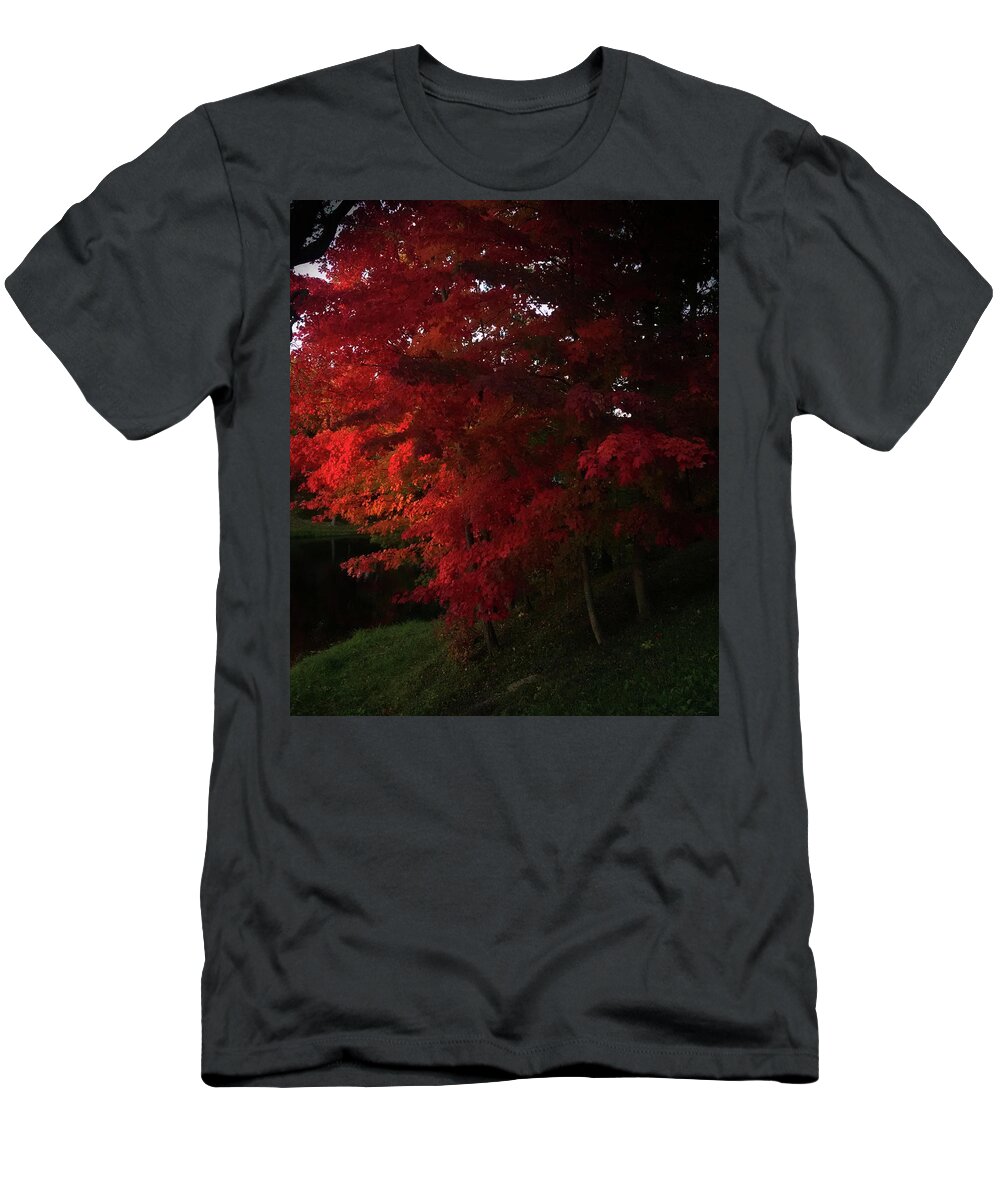 2016 T-Shirt featuring the photograph Red Maple at Sunset by George Harth