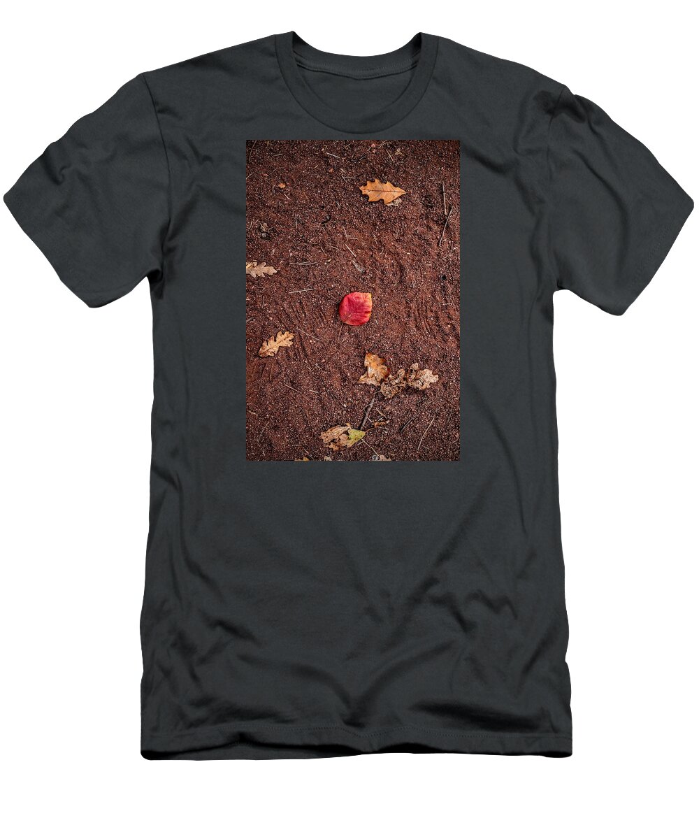Red Leaf T-Shirt featuring the photograph Red by Michael Brungardt