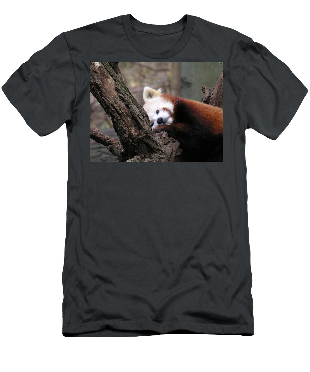 Red T-Shirt featuring the photograph Red Panda by Diane Lesser