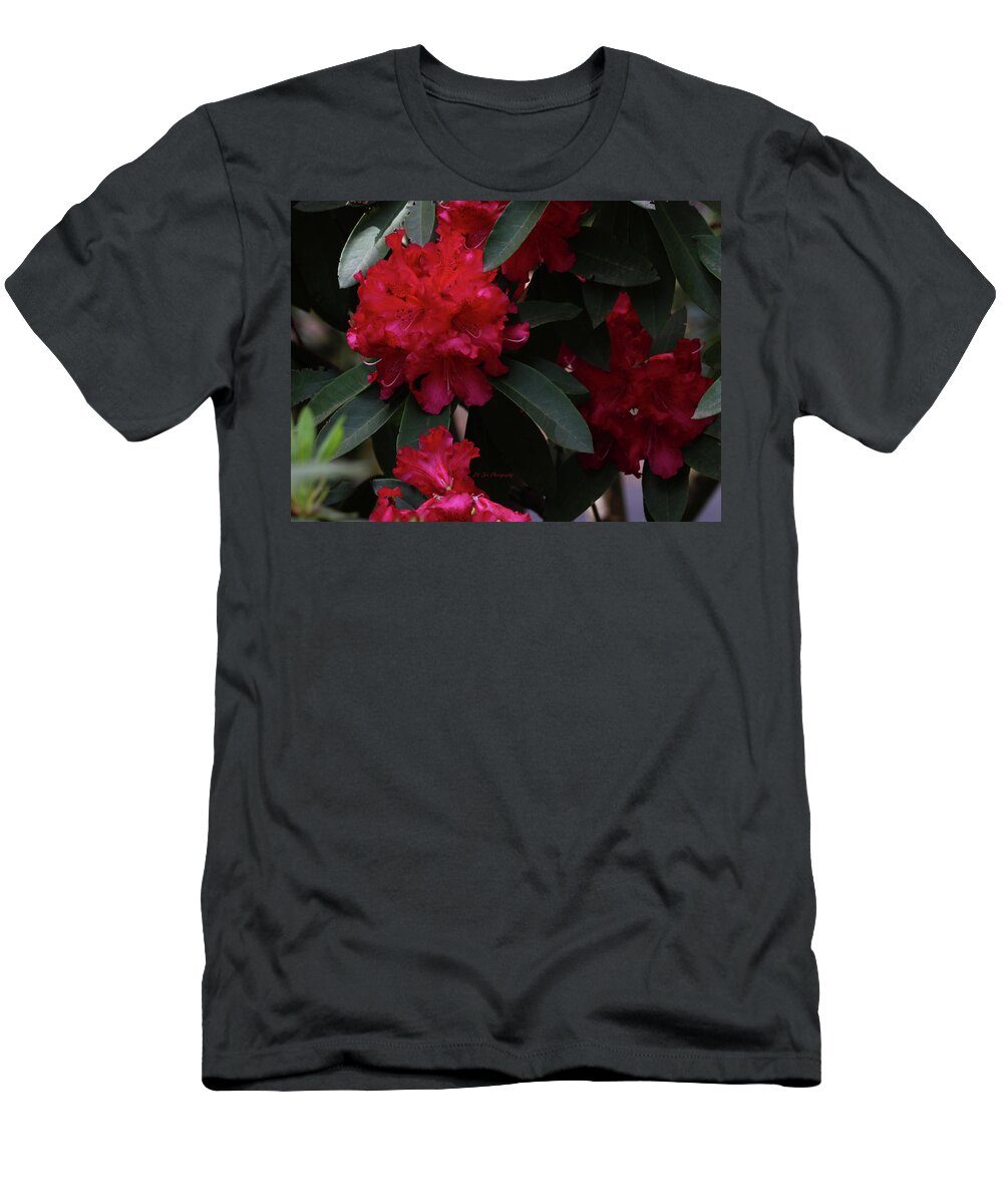 Rhododendron T-Shirt featuring the photograph Red Rhododendron by Jeanette C Landstrom