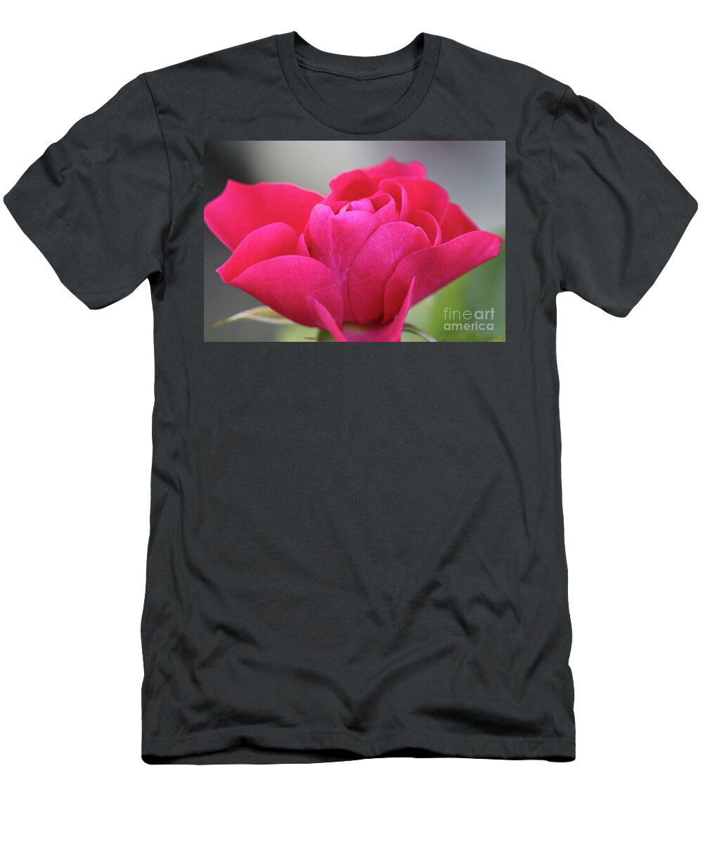 Landscape T-Shirt featuring the photograph Red Rose Close Up by Donna L Munro