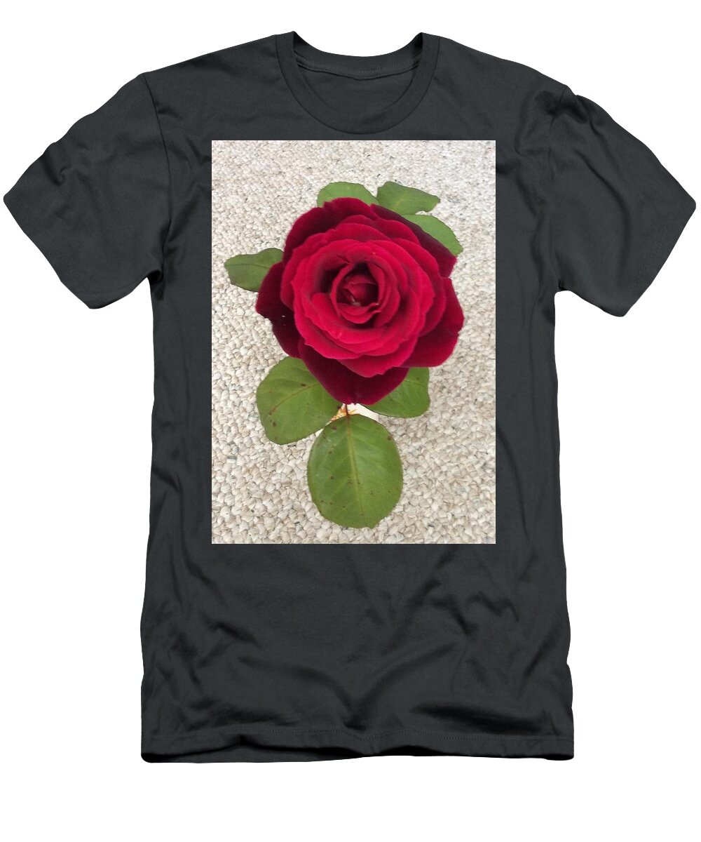 Rose Red T-Shirt featuring the photograph Red Rose by Erika Jean Chamberlin