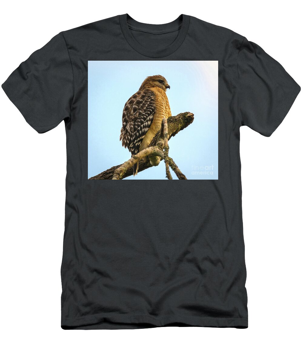 Nature T-Shirt featuring the photograph Red-Shouldered Hawk - Buteo Lineatus by DB Hayes