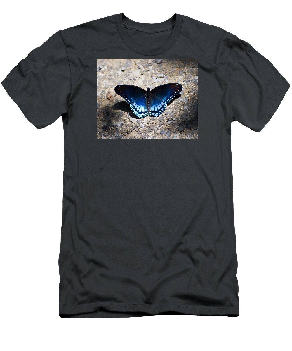Red-spotted Purple Butterfly T-Shirt featuring the photograph Red-spotted Purple Butterfly by Kerri Farley
