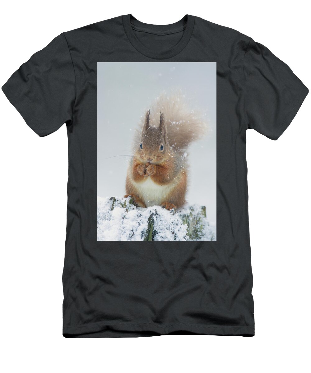 Red T-Shirt featuring the photograph Red Squirrel With Snowflakes by Pete Walkden