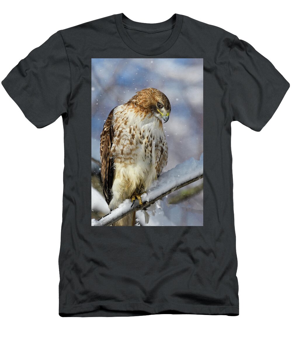 Red Tailed Hawk T-Shirt featuring the photograph Red Tailed Hawk, Glamour Pose by Michael Hubley
