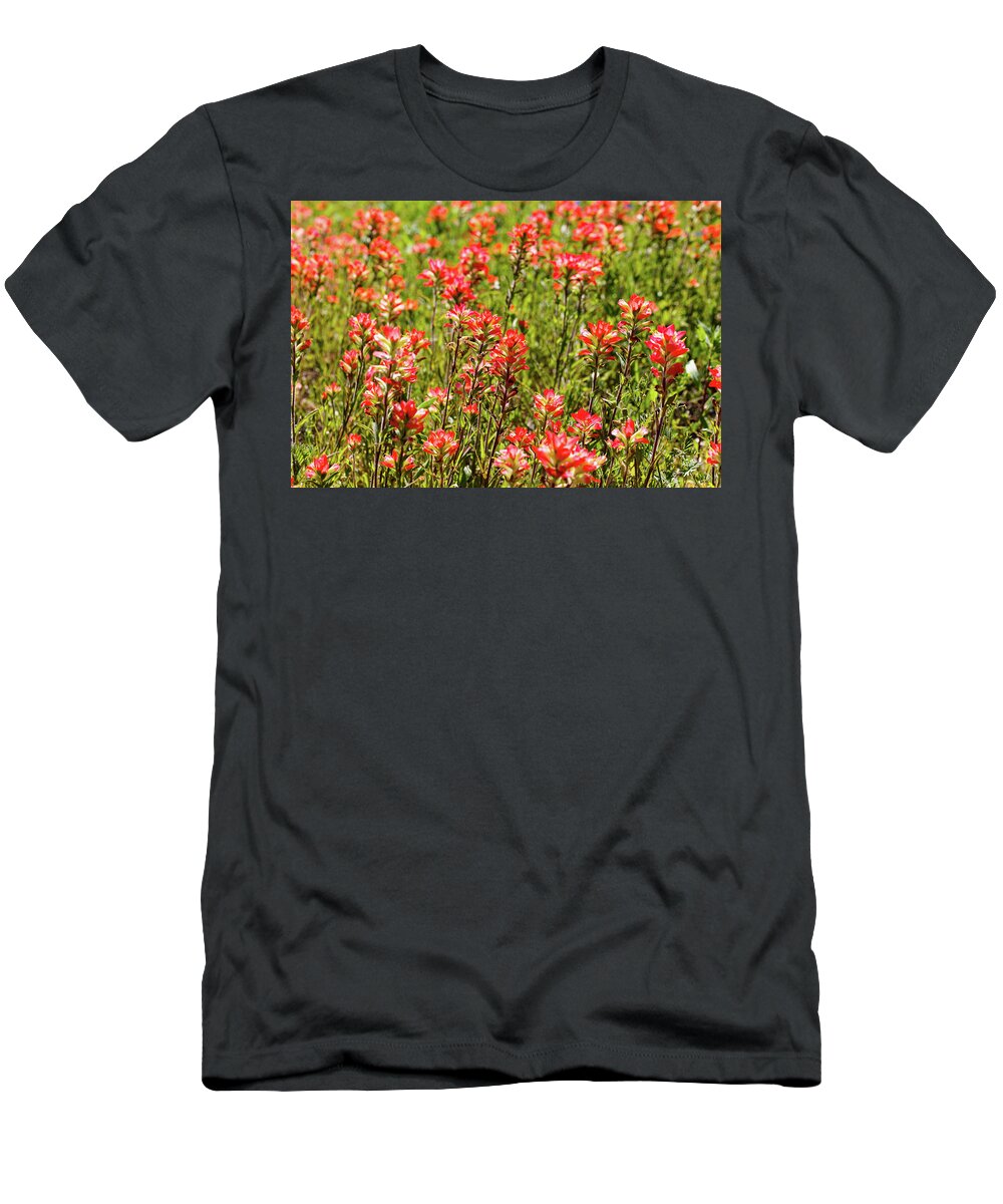Austin T-Shirt featuring the photograph Red Texas Wildflowers by Raul Rodriguez