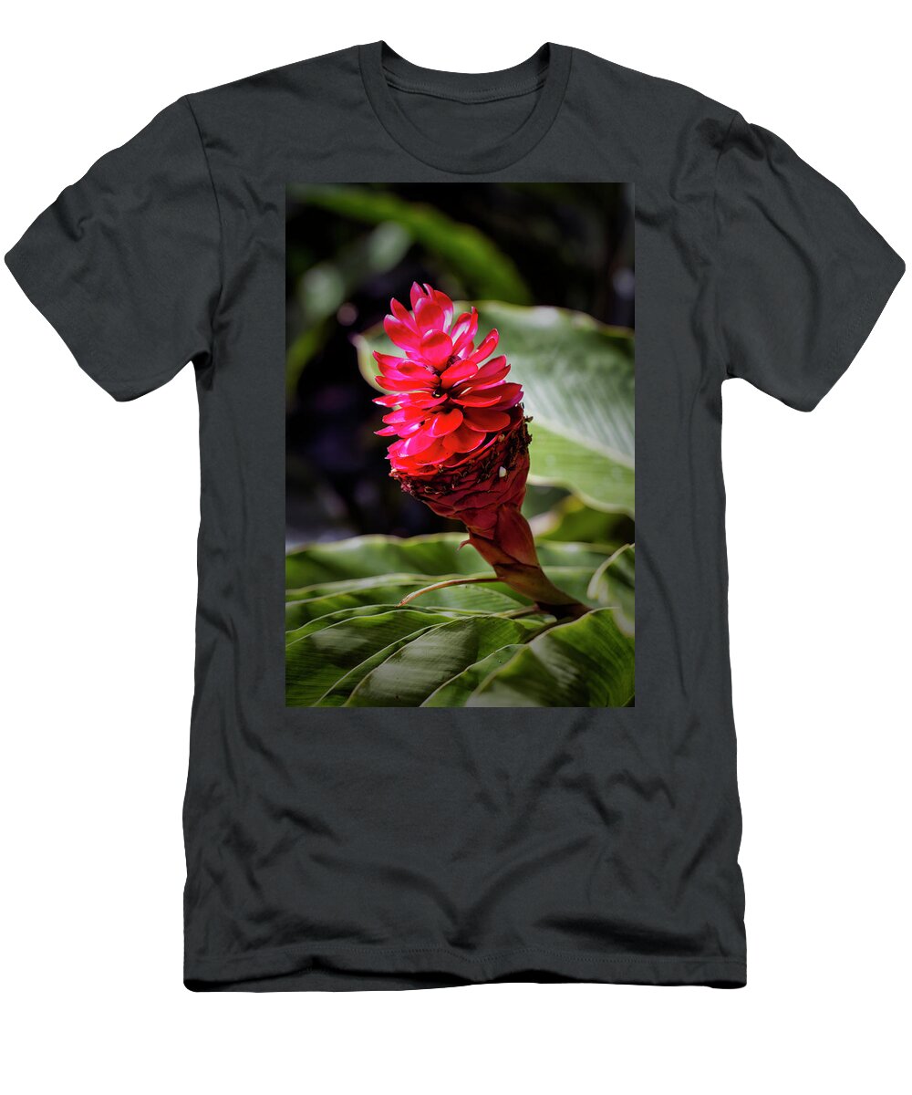 Granger Photography T-Shirt featuring the photograph Red Torch by Brad Granger