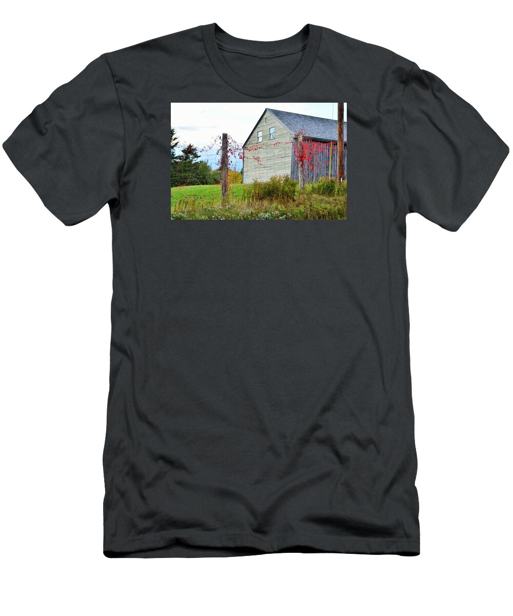 Autumn T-Shirt featuring the photograph Red Vines Town Hill Maine by Lena Hatch