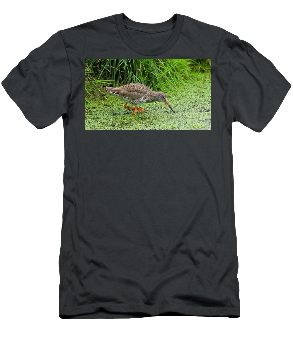 Birds T-Shirt featuring the photograph Redshank by Jeff Townsend