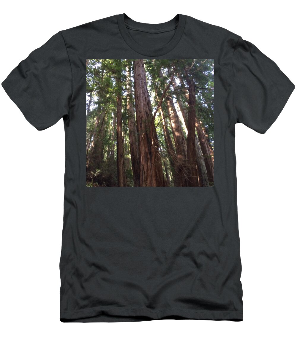 Redwood T-Shirt featuring the photograph The Redwoods by Robert Blankenship