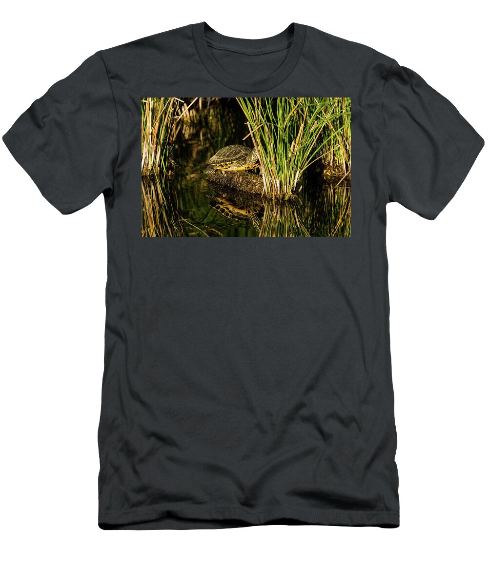 Reflection T-Shirt featuring the photograph Reflect This by Douglas Killourie