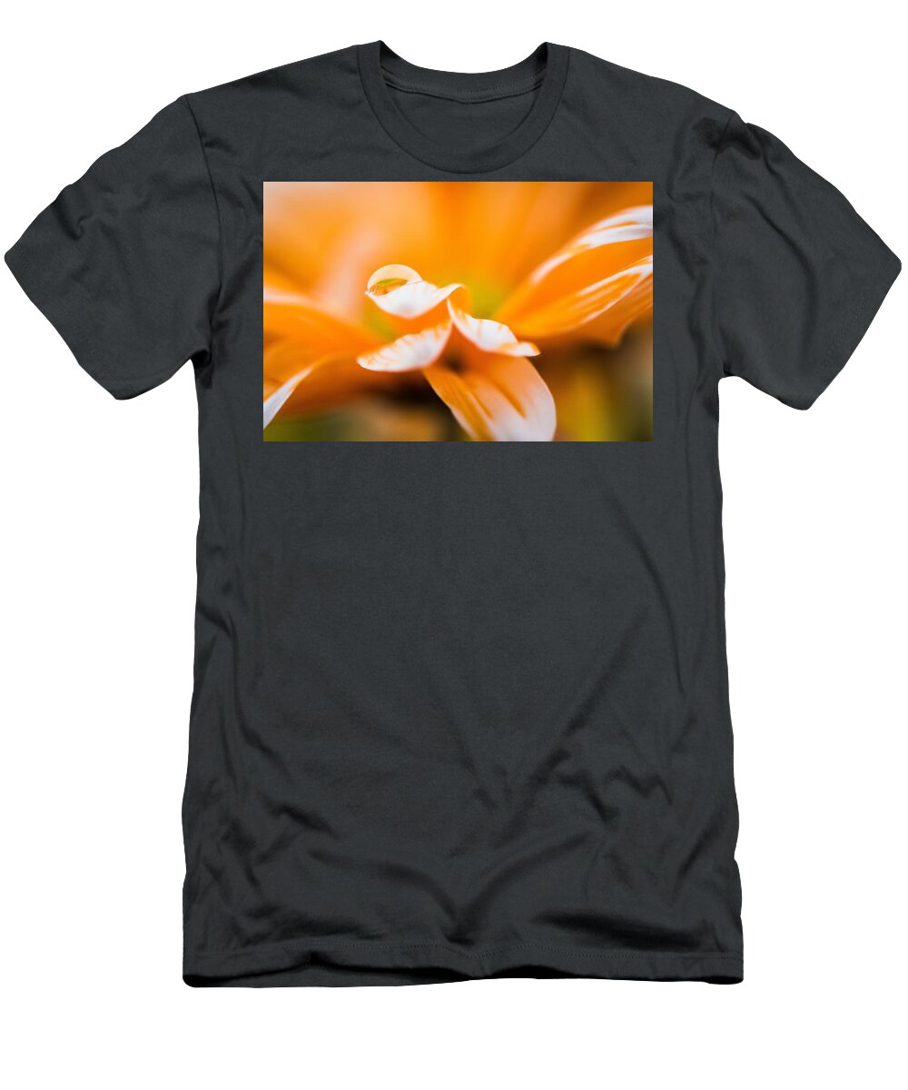 Daisy T-Shirt featuring the photograph Reflection of Yourself by Tammy Ray