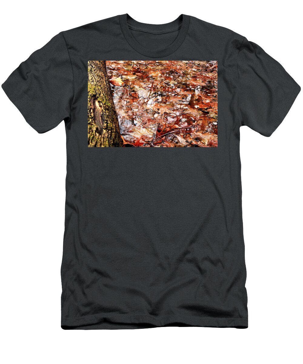 Leaves T-Shirt featuring the photograph Reflections by Noah Bryant