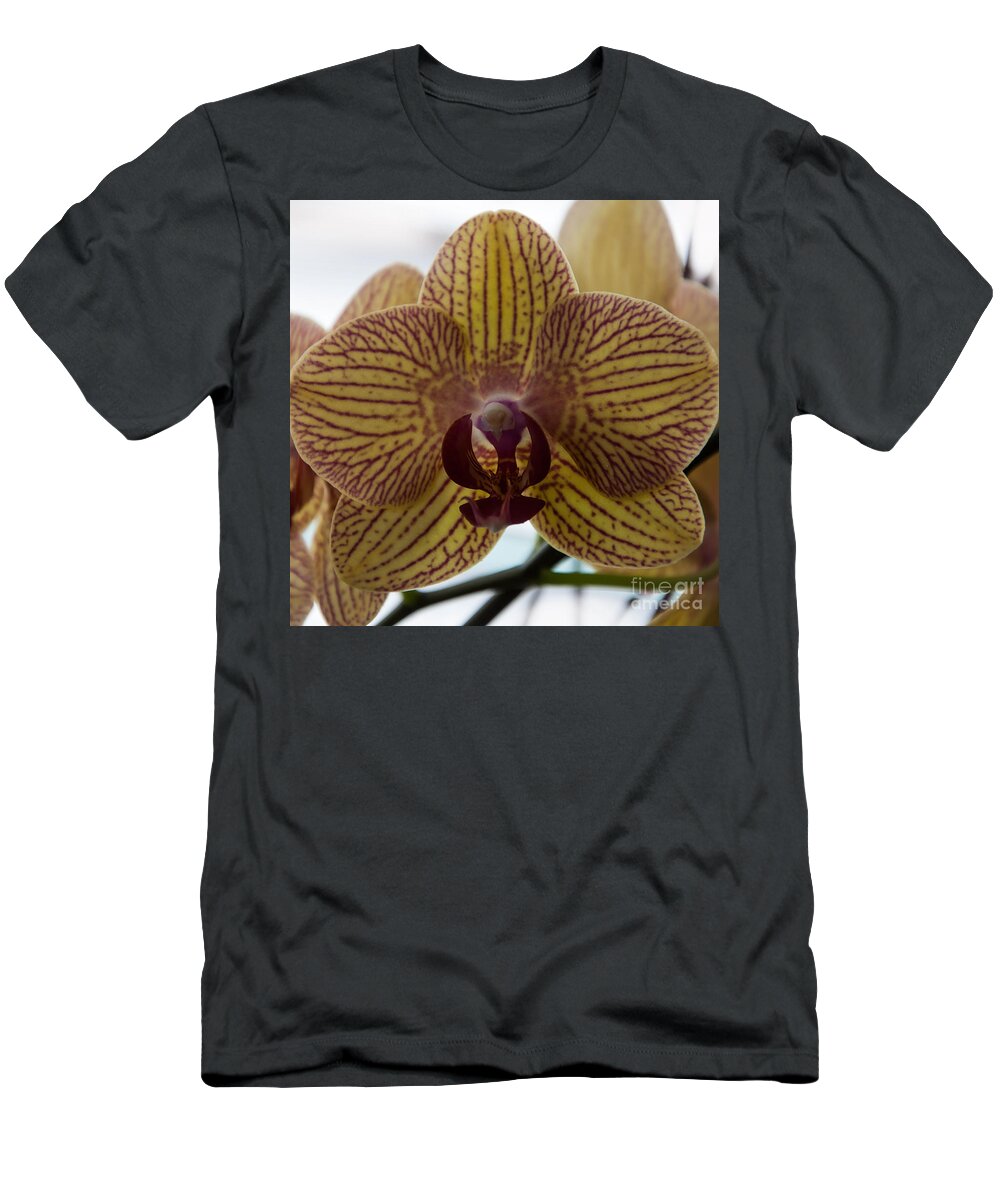 Orchid T-Shirt featuring the photograph Regal Orchid Bloom by Kirt Tisdale