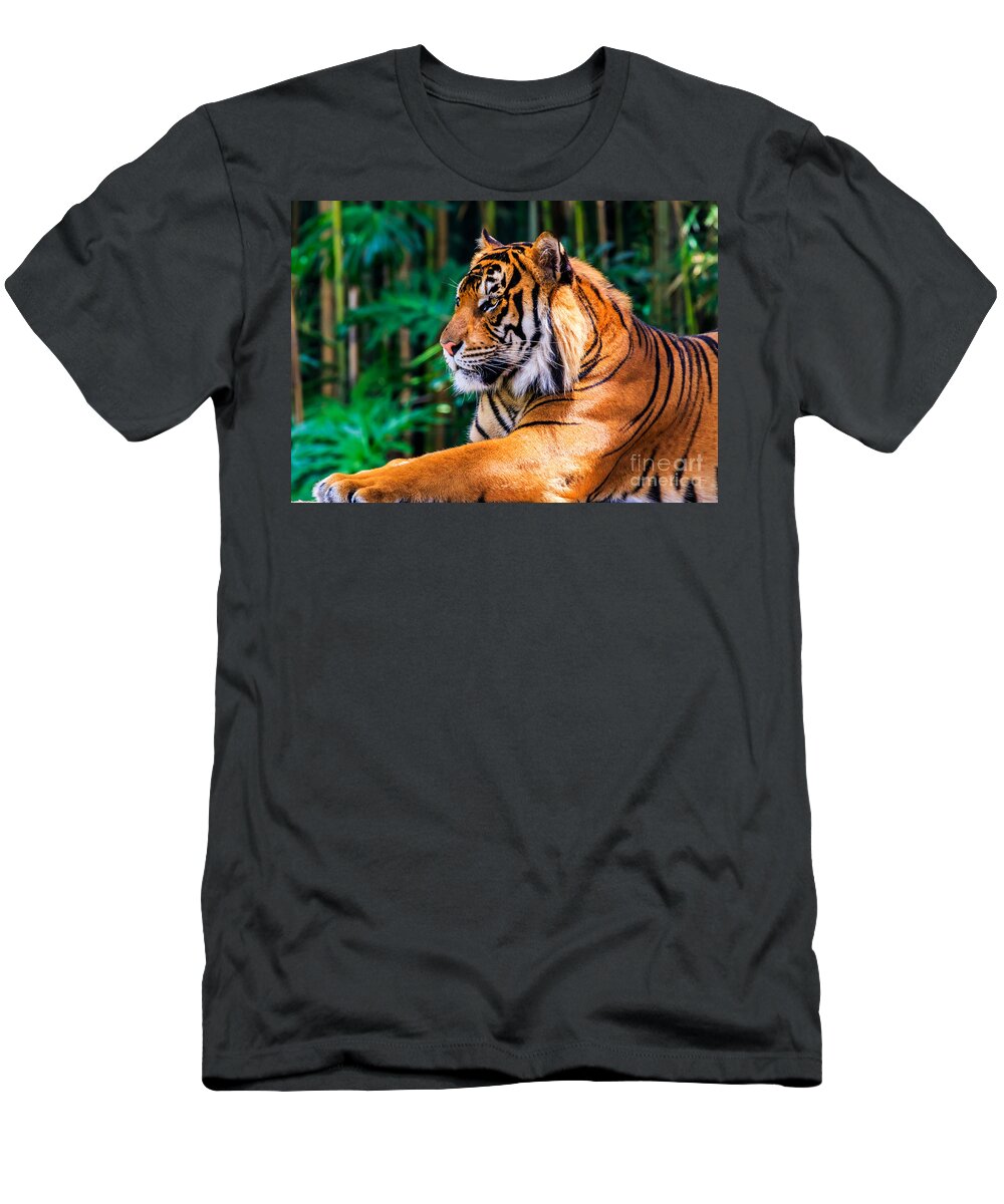 Animal T-Shirt featuring the photograph Regal Tiger by Ray Shiu