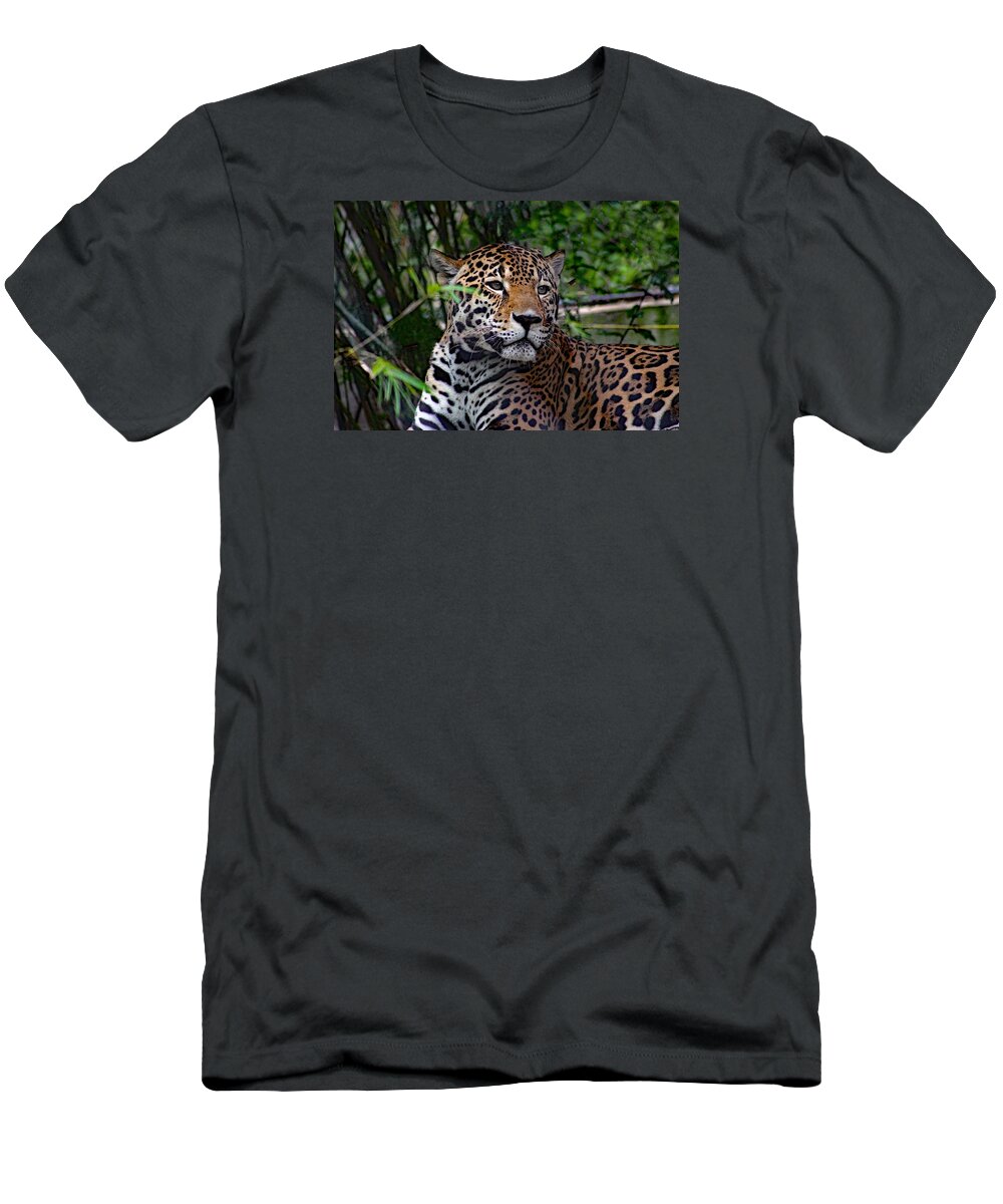 Nature T-Shirt featuring the photograph Relaxing Jaguar by DB Hayes