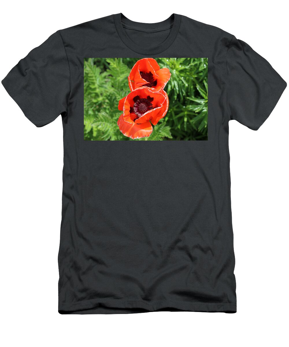 Remembrance Poppy T-Shirt featuring the photograph Remember Red 1 by Ron Monsour