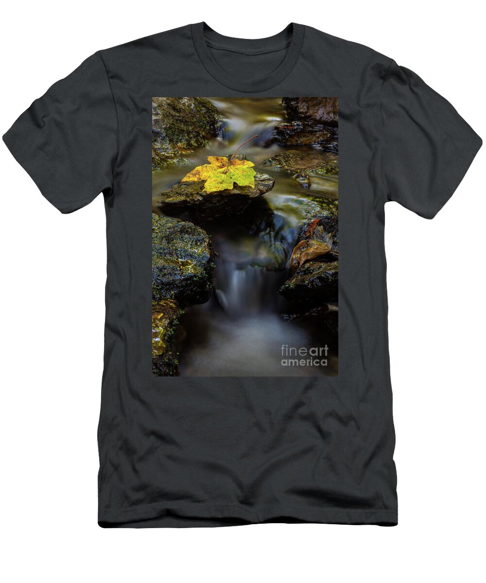 Stream T-Shirt featuring the photograph Renewal by Mark Alder