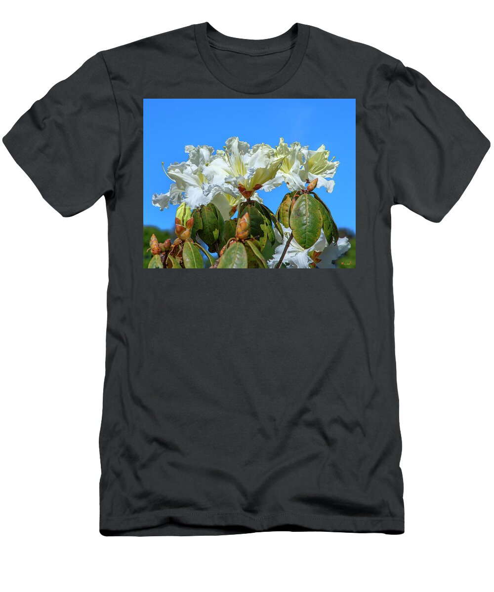 Nature T-Shirt featuring the photograph Rhododendron ciliicalyx DTHN0213 by Gerry Gantt