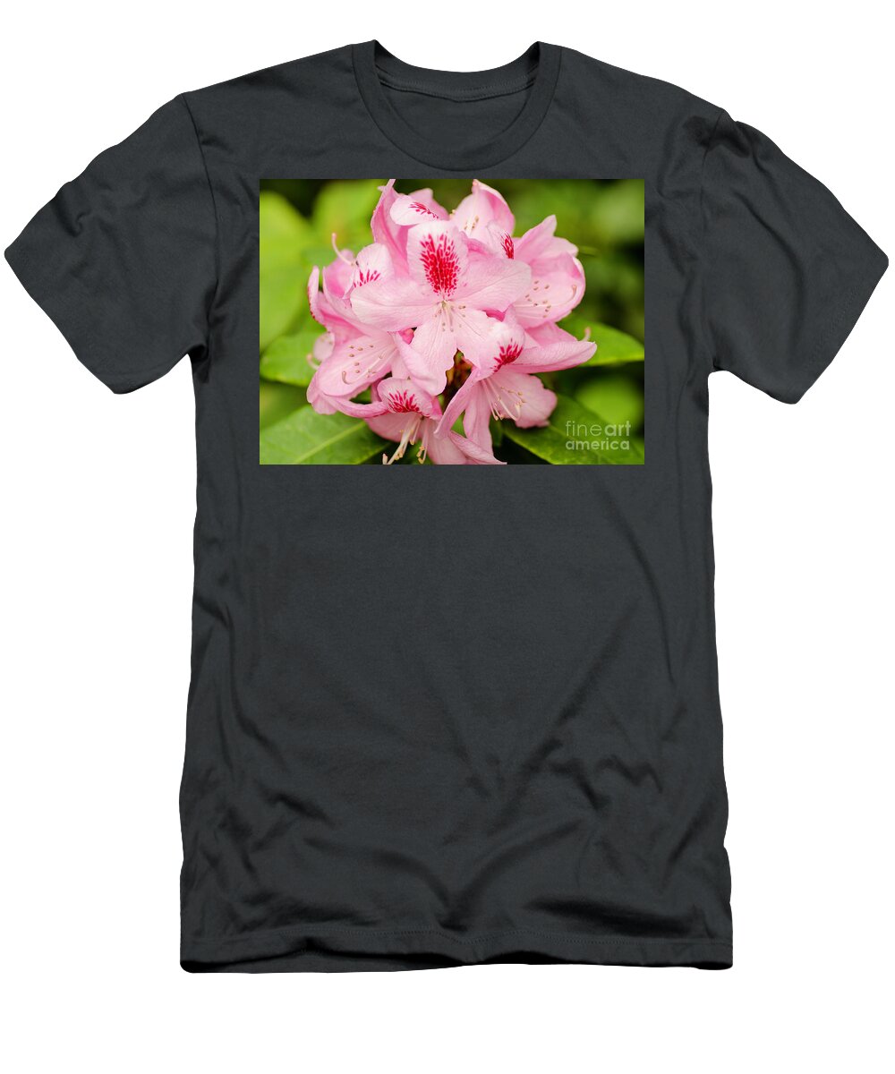 Rhododendron T-Shirt featuring the photograph Rhododendron by Nick Boren