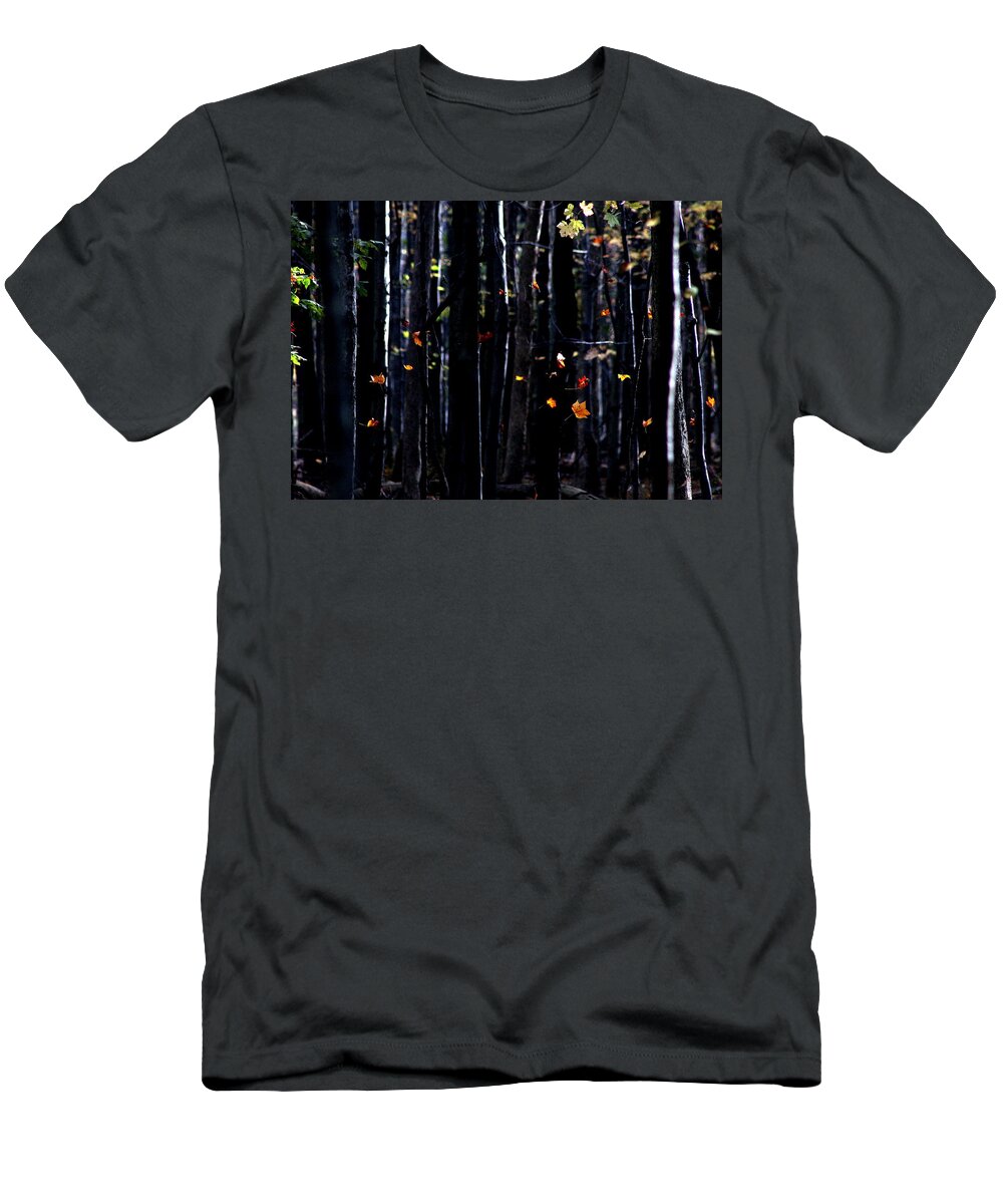 October T-Shirt featuring the photograph Rhythm of Leaves Falling by Bruce Patrick Smith