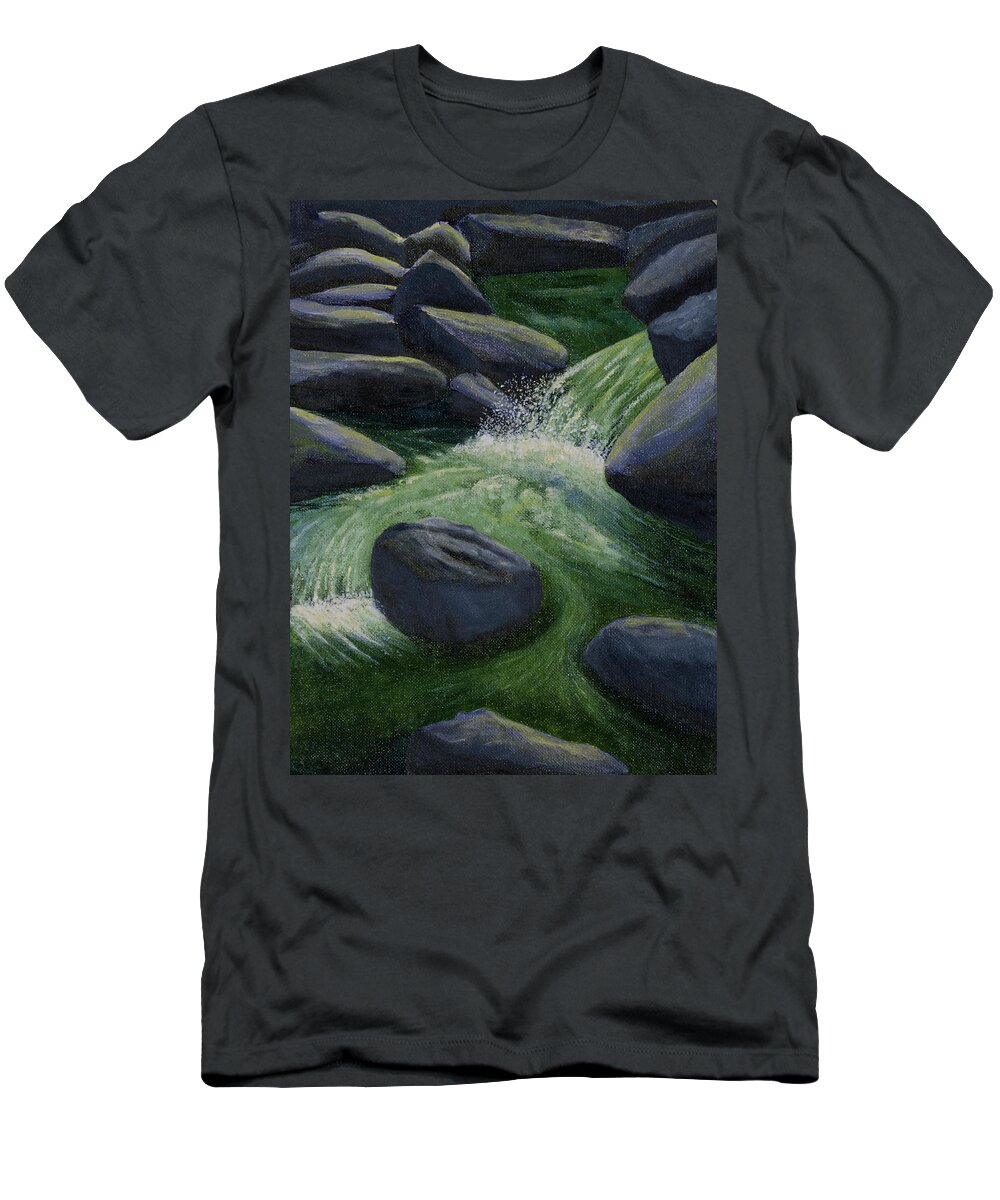 Creek T-Shirt featuring the painting Richland Creek Arkansas Ozarks by Garry McMichael