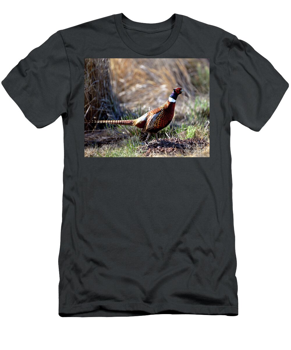 Denise Bruchman T-Shirt featuring the photograph Ring Necked Pheasant 2 by Denise Bruchman