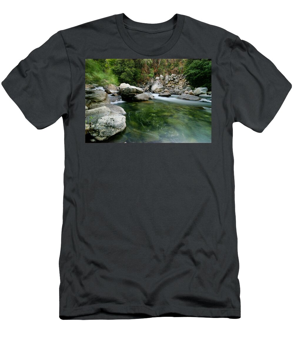 United States T-Shirt featuring the photograph Green - Giant Sequoia National Monument by Darin Volpe