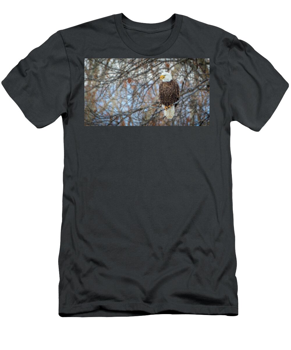 Yampa River T-Shirt featuring the photograph River Watcher by Kevin Dietrich