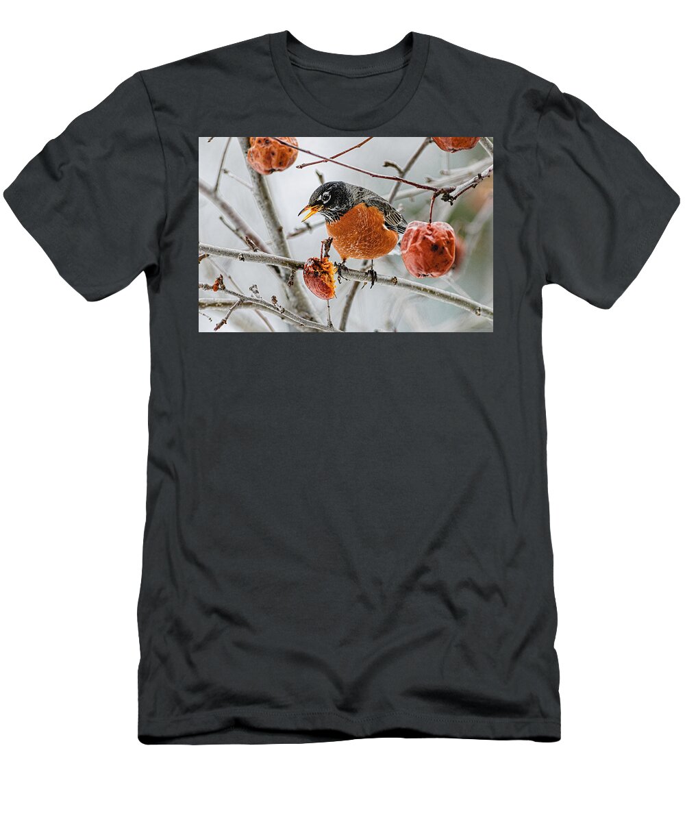 Robin Red Breast 3 T-Shirt featuring the photograph Robin Red Breast 3 by Marty Saccone