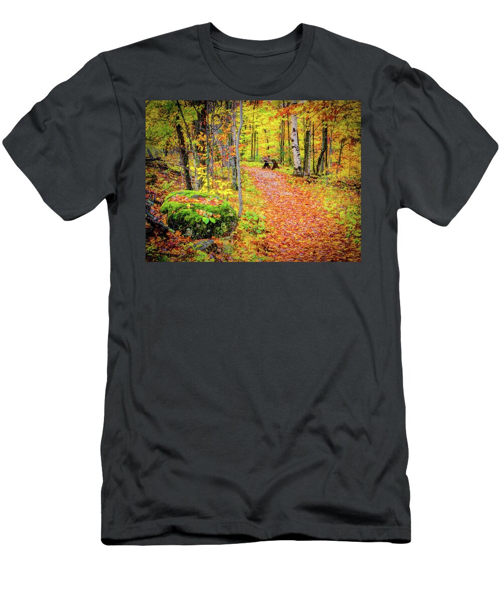 Wisconsin T-Shirt featuring the photograph Rock and Bench by David Heilman