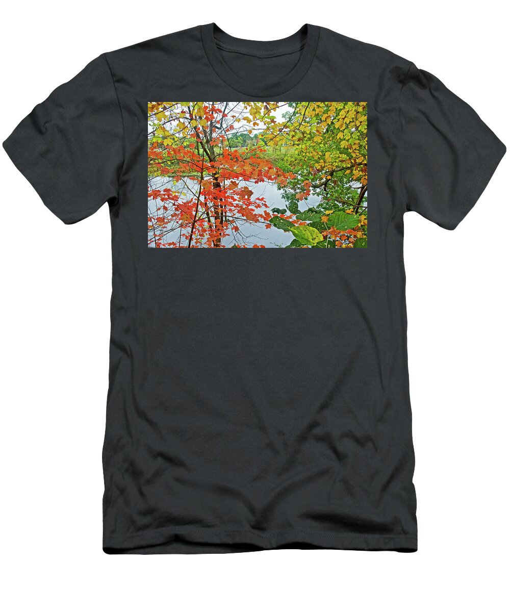 Rogue River Through Autumn Leaves In Rockford T-Shirt featuring the photograph Rogue River through Autumn Leaves in Rockford, Michigan by Ruth Hager