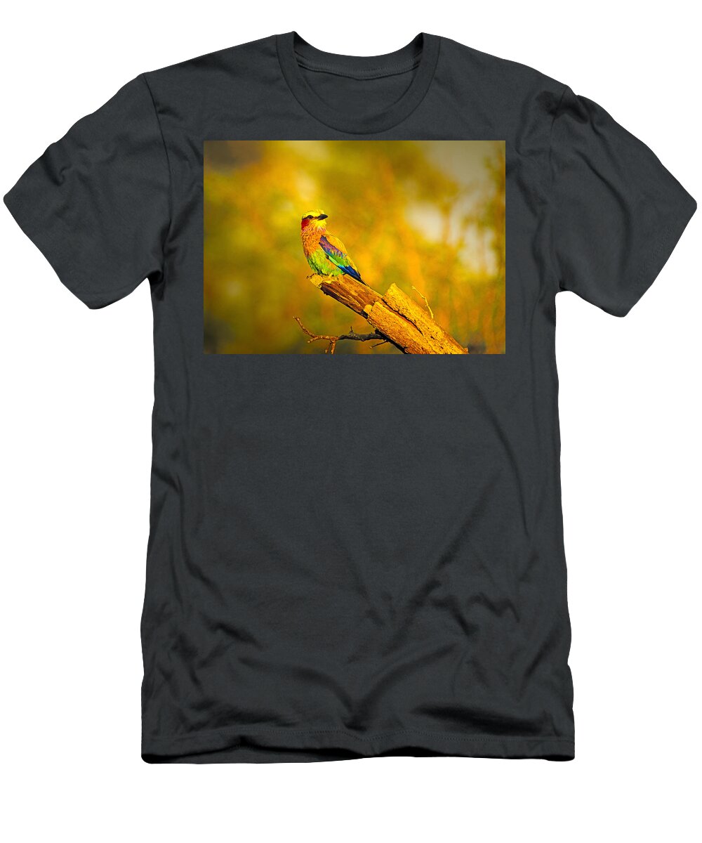 Birds T-Shirt featuring the photograph Roller by Patrick Kain
