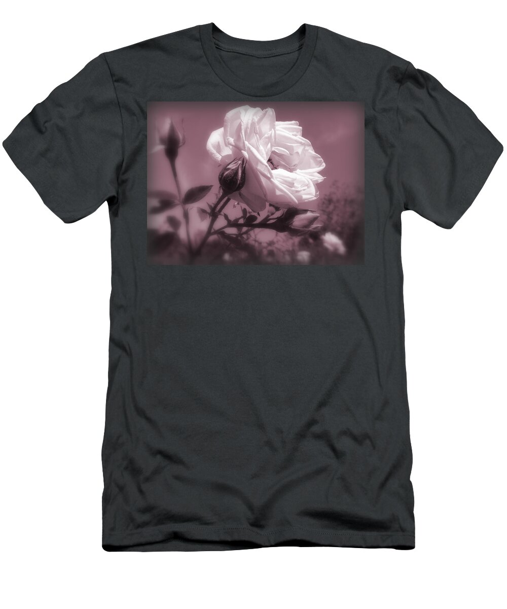 New Dawn Climbing Rose T-Shirt featuring the photograph Rose in Rose by Susan Lafleur
