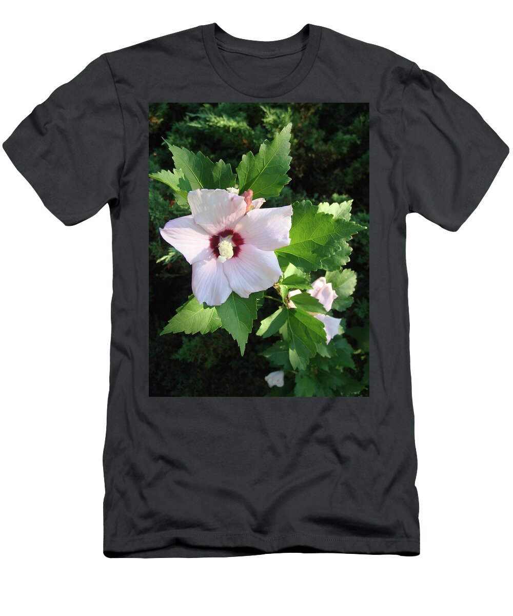 Rose T-Shirt featuring the photograph Rose of Sharon by Cathy Klopfenstein