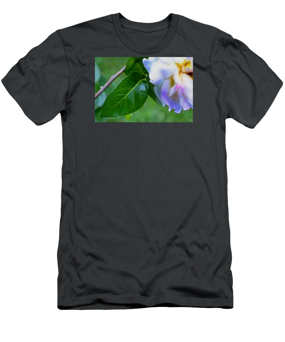 Rose T-Shirt featuring the photograph Rose Pedals by John Meader