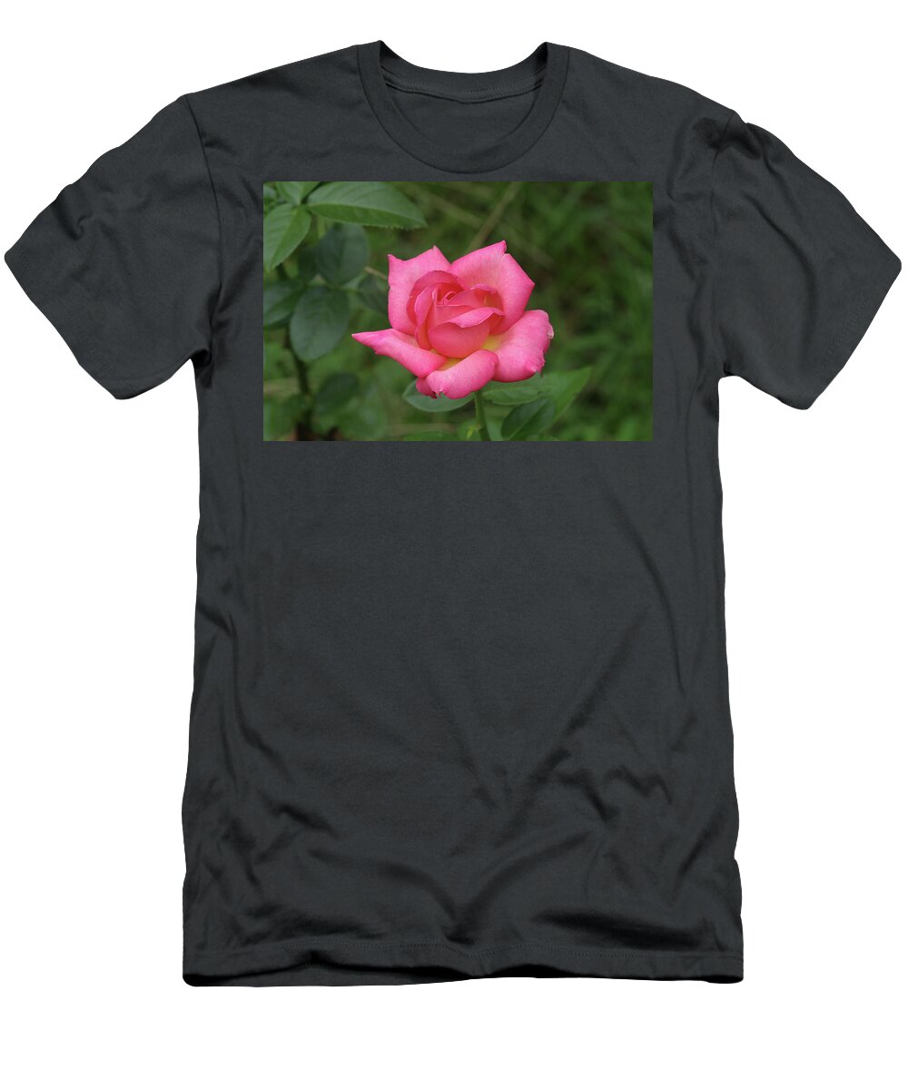Ronnie Maum T-Shirt featuring the photograph Rose by Ronnie Maum