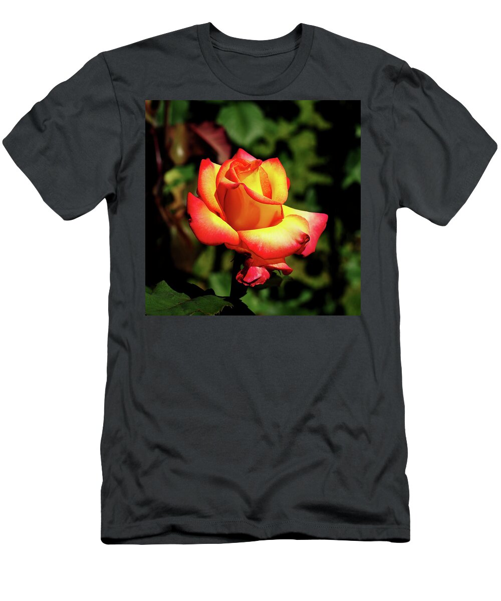 Flower T-Shirt featuring the photograph Rose to Remember by Dale Stillman