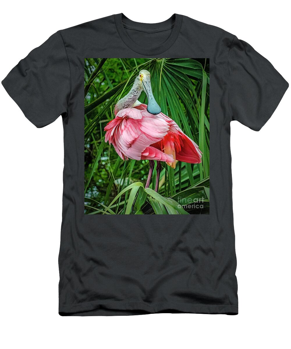 Roseate Spoonbill T-Shirt featuring the photograph Roseate Spoonbill preening by Brian Tarr